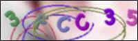 Cargando Imagen