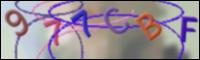 Cargando Imagen
