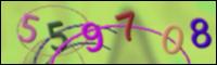 Cargando Imagen