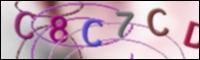 Cargando Imagen