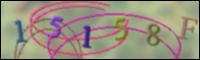 Cargando Imagen