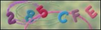 Cargando Imagen