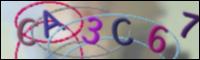 Cargando Imagen