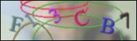 Cargando Imagen