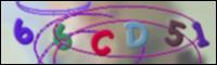 Cargando Imagen